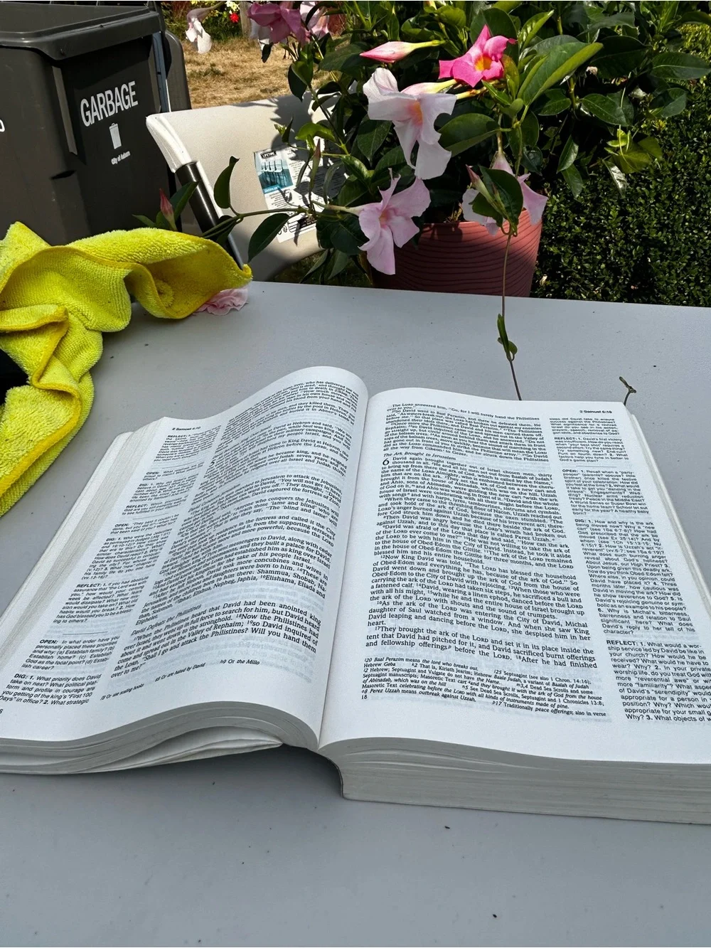 Serendipity Bible for Study Groups - Black